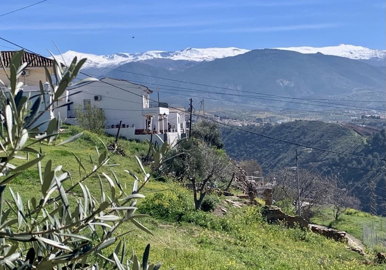 Från Granada upp mot Sierra Nevada